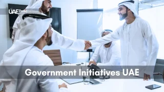 Officials collaborating to promote government-backed investments in the UAE.