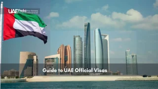 UAE flag waving with Abu Dhabi skyline in background