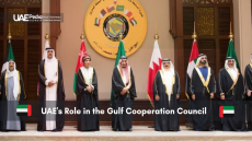 Gulf Cooperation Council leaders, including UAE, standing formally together