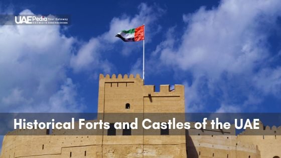 Exploring the Historical Forts and Castles of the UAE