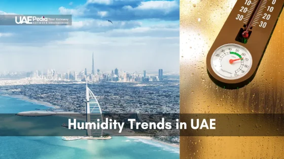 Dubai skyline with Burj Al Arab and a high moisture level humidity meter.