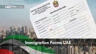 Visa application form titled “United Arab Emirates Naturalization & Immigration Department” over cityscape.