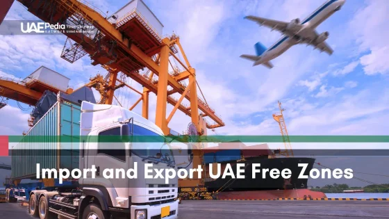 Diverse transport modes, including air, sea, and road, facilitating trade in UAE free zones.