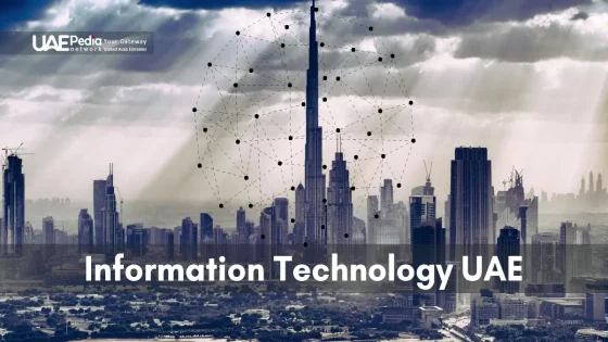 Dubai's skyline overlaid with network nodes, UAE's focus on information technology.