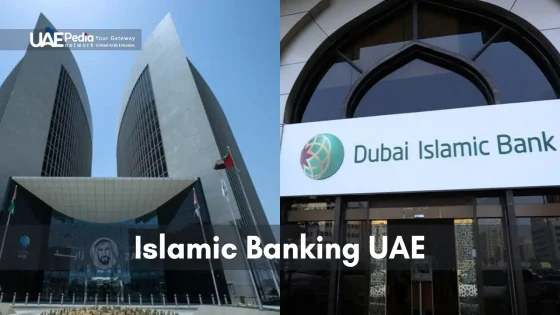 Understanding Islamic banking laws and financial policies in the UAE.