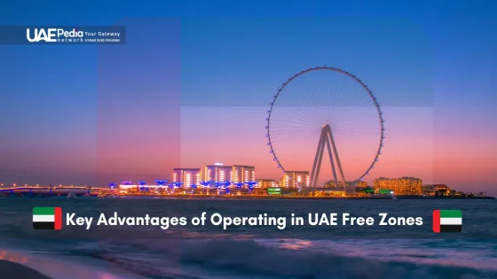 Night view showcasing benefits of operating in UAE Free Zones