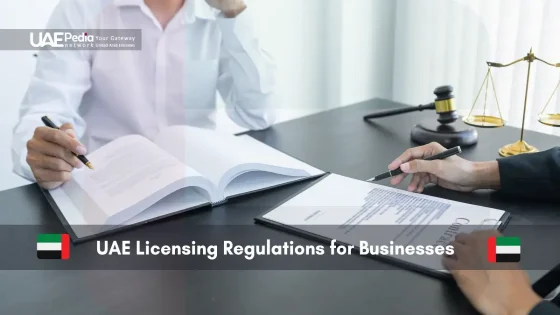 Business professionals discussing UAE licensing