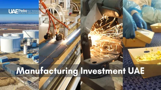 Various scenes of manufacturing activities in the UAE industry diversity.