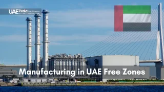 A manufacturing facility showcasing opportunities for industries in UAE Free Zones.