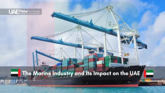 Cargo ships and cranes at a UAE port.