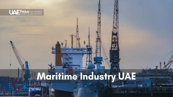 A UAE maritime port featuring ships, cranes, and industrial structures.