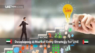 Man planning UAE market entry strategy with visual aids