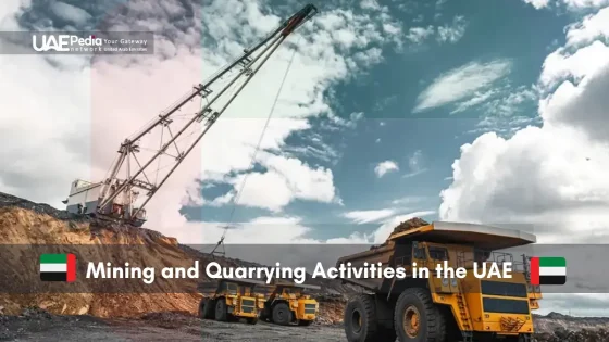 Mining operations with large machinery in the UAE