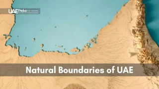 Topographic map showing UAE's natural boundaries, including coastal and desert regions.