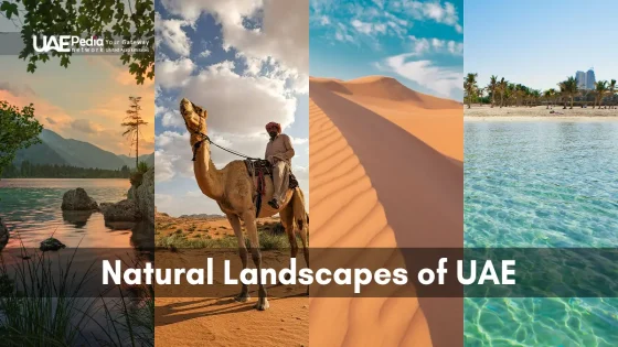 A collage of UAE landscapes featuring mountains, deserts, camels, and beaches.