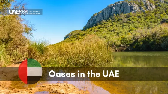 A green oasis with a reflective water body, surrounded by hills and vegetation.