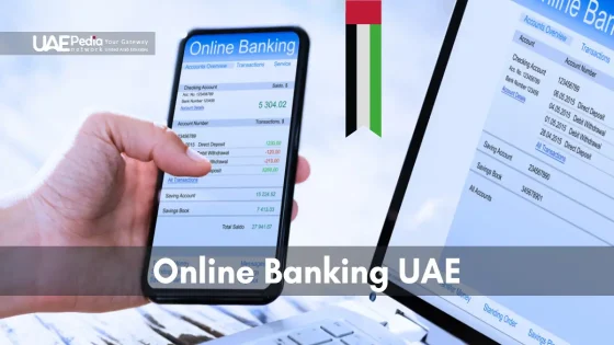 Overview of UAE's best online banking platforms with advanced features.