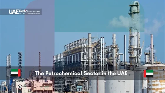 Industrial view of a petrochemical plant in the UAE