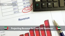 Financial documents displaying revenue growth