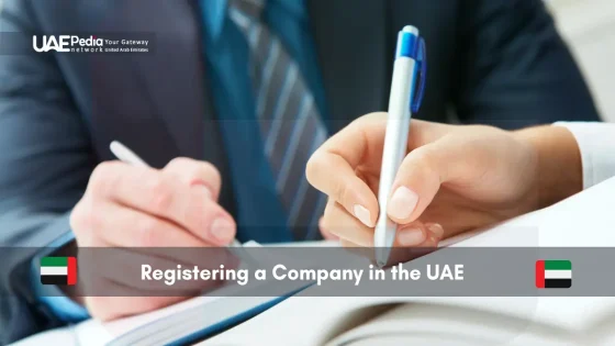 Official stamping a document for UAE business attestation