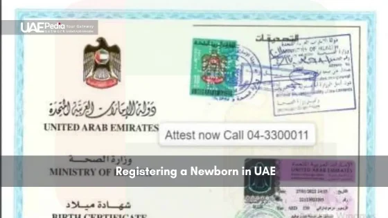 UAE birth certificate issued by the Ministry of Health