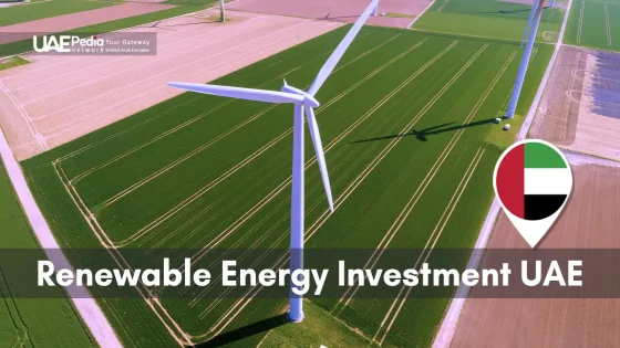 Wind turbines across lush fields showcasing UAE's renewable energy efforts.