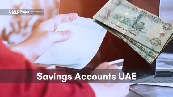 Overview of high-interest savings accounts in UAE banks with added benefits.