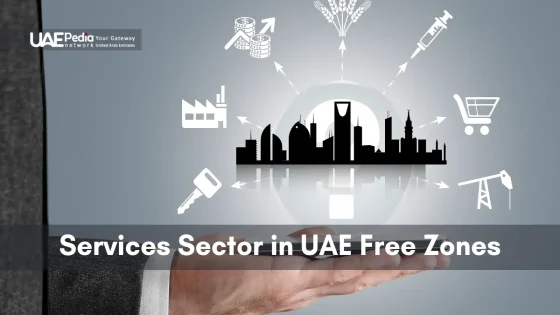 A city skyline highlighting services industry growth in UAE Free Zones.