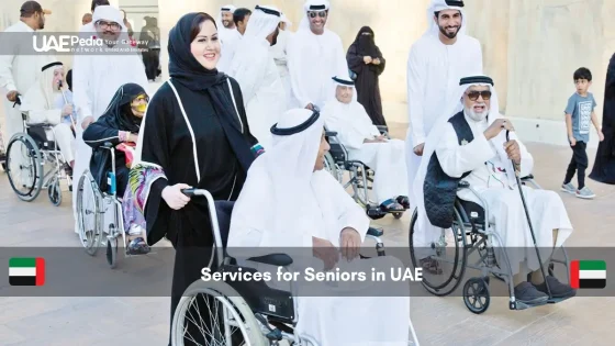 Group of elderly people in wheelchairs with caretakers outdoors