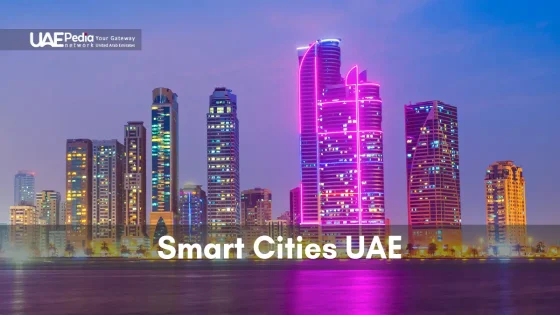 Brightly lit skyscrapers representing the growth of smart cities in UAE.