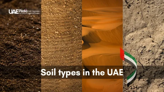 A visual comparison of UAE soil types, including dark, rocky, sandy, and cracked soils.