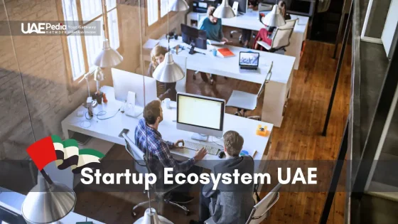 Entrepreneurs working in a shared office representing UAE's startup growth.