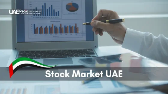 Person reviewing stock charts on a laptop, representing UAE stock market insights.