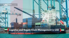 Cargo ship at a UAE port showcasing logistics operations.