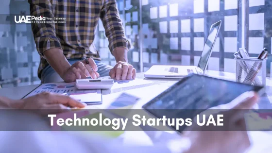 Entrepreneurs collaborate on a tech project in a bright UAE office.