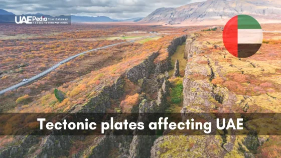 A large tectonic fault line with rugged terrain, highlighting plate movements.