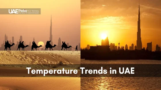 A desert sunset with camels and Dubai skyline at sunrise, highlighting heat trends.