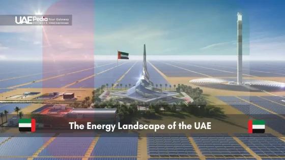 Solar panels and a modern structure in UAE's desert