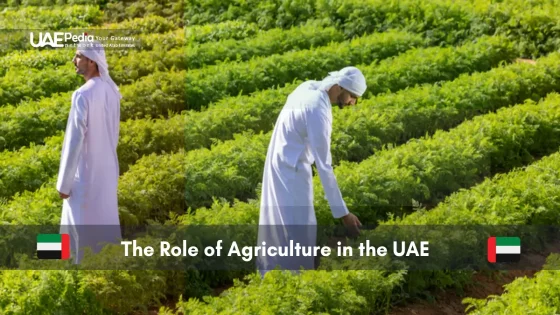 Emiratis inspecting agricultural fields in the UAE