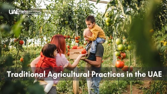 Traditional Agricultural Practices in the UAE