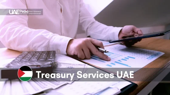 Advanced treasury services in UAE focusing on analytics and financial planning.