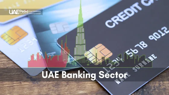 Representation of UAE banking sector featuring credit cards and skyline.