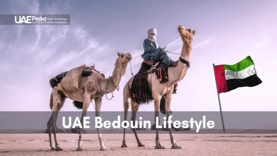 Traditional UAE Bedouin riding camels in the desert with the UAE flag.