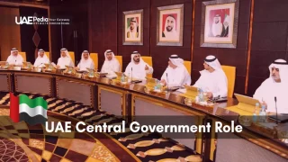UAE leaders in a meeting discussing central government roles in a formal setting.