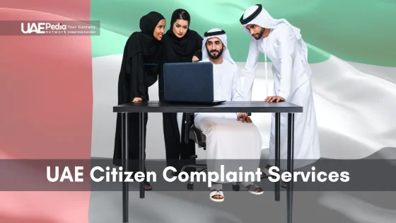 Emirati citizens working together on laptops representing UAE government-compliant services.