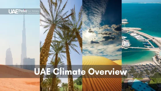 Diverse climate features of the UAE, including deserts and coastlines.