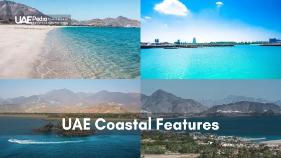 Scenic views of UAE's unique coastal geography and beautiful seascapes.