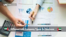 Explore Different UAE Company Types for Your Business