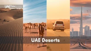 UAE's desert landscapes, from dunes and camels to modern desert views.