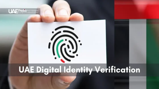 A close-up of a fingerprint symbolizing secure digital identity verification in the UAE.